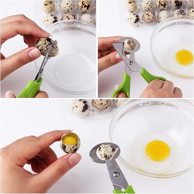 Calary 3Pcs Quail Egg Cutter Scissors Kitchen Egg Shears Tool (Green)