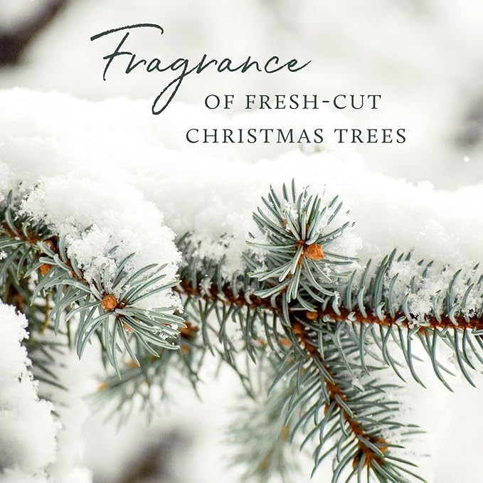 Thymes Frasier Fir Reed Diffuser Set – Includes Reeds, Fragrance Oil, and Frosted Glass Bottle – Fragrance Oil Diffuser – Room Fresheners – Luxury Home Decor – Gold (Gilded, 4 fl oz)