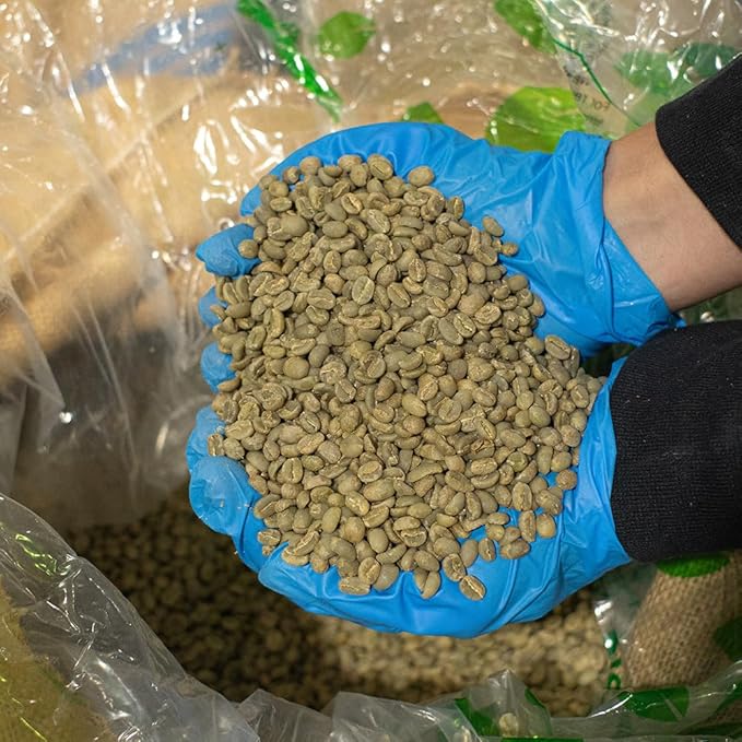 Fresh Roasted Coffee, Unroasted Organic Mexican | USDA Organic, 100% Single Origin, Kosher | 5 Pound