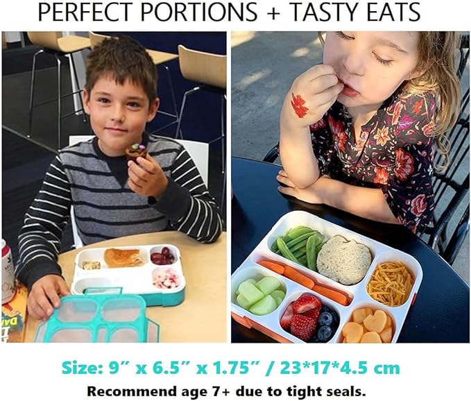 kinsho Bento Box Lunch-Box Containers for Kids, Adults | 6 Compartment Lunch-Boxes | Leakproof School Bentobox, Snack or Meal Portion Container | BPA-Free, Teal