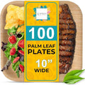 100% Natural 10” Palm Leaf Square Plate (100 pack), Compostable & Biodegradable Dinnerware for Catering, Birthdays, Halloween, BBQs, Thanksgiving, Alternative to Paper & Bamboo Plates Disposable