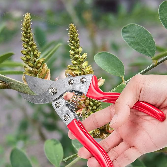 Pruning Shears SK5 Carbon Steel – Hand Pruners & Garden Clippers for Tree, Bonsai & Landscaping, Ergonomic Design with Replacement Spring & Bonus Fine Shears