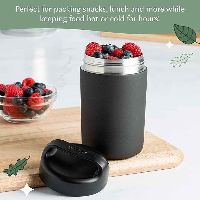 Goodful Stainless Steel Food Jar, Double Wall Vacuum Sealed Insulated Food Storage Container with Carry Handle Lid, 16-Ounce, Gray