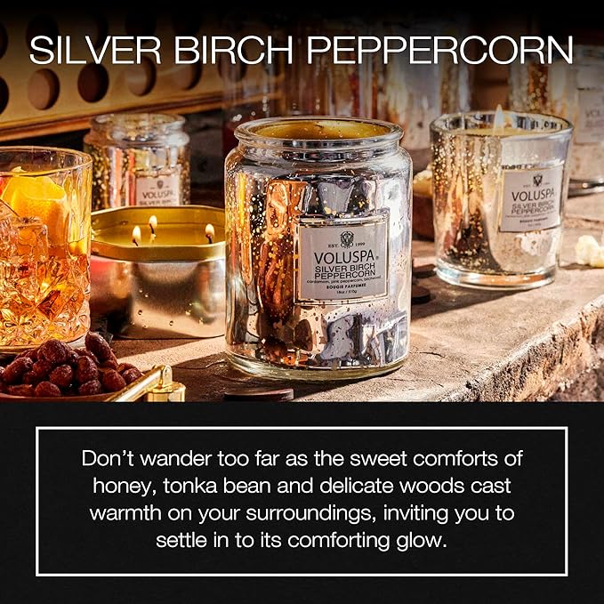 Large - Silver Birch Peppercorn by Voluspa for Unisex - 18 oz Candle