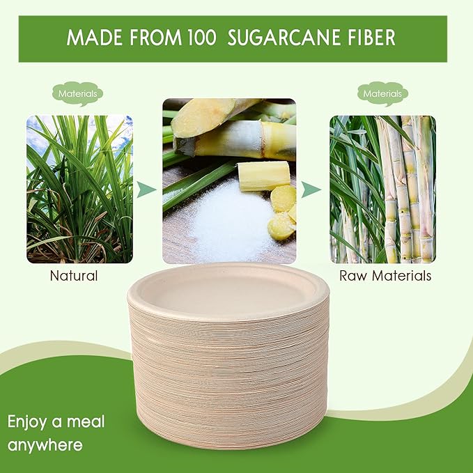 Vplus 500 Pack Compostable Disposable Paper Plates 10.25 inch Super Strong Paper Plates 100% Bagasse Natural Biodegradable Eco-Friendly Sugarcane (nature)