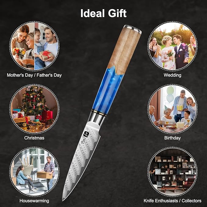 Classic Paring Knife 3.5 Inch, Japanese VG10 Steel Damascus Fruit Knife, Sharp Small Kitchen Knife with Gift Box and Resin Wood Handle,Ideal Birthday Gift for Men and Women