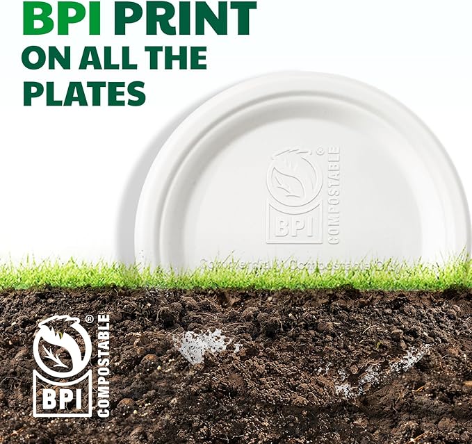 100% Compostable Paper Plates, 9 Inch, 125 Count, Biodegradable Bagasse Plates, Heavy Duty Disposable Plates Bulk for Party | Microwave-Safe | Soak-Resistant, Cut Resistant