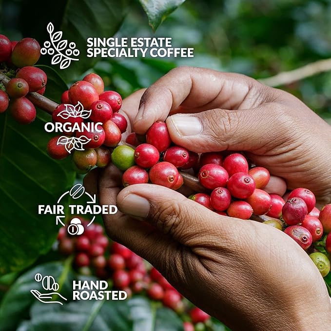 Christmas Coffee Gifts for Men & Women - 7 of the World's Finest Single Estate Specialty Coffees in Sampler Box for Coffee Lovers | Perfect Secret Santa Gift Set Idea with Unique Coffeebrewer