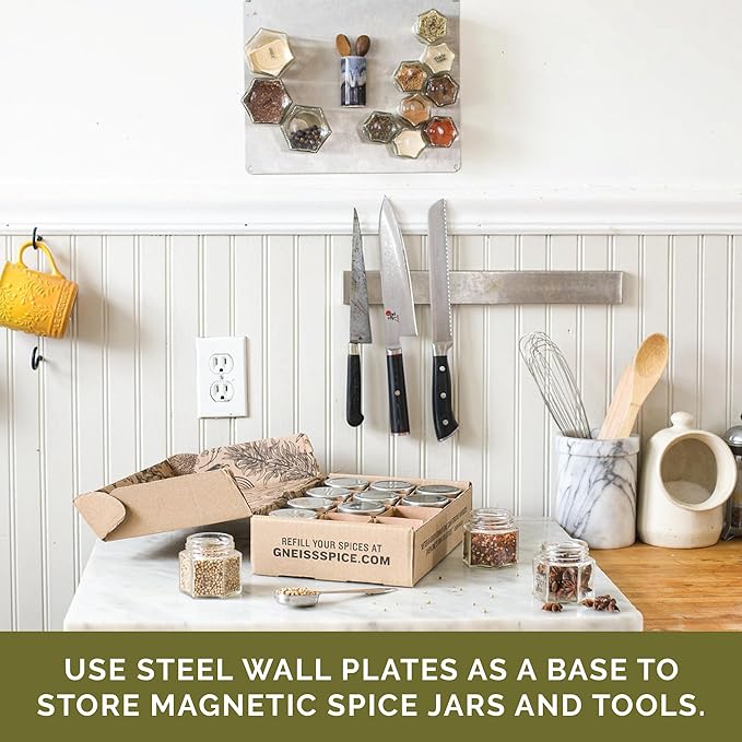 Gneiss Spice Stainless Finish Wall Plate Base for Magnetic Spice Jars, Small 6x8 Inches (Jars Not Included)