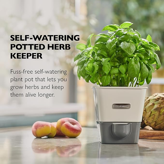 Cole & Mason Self-Water Herb Keeper - Potted Herb Saver with Hydro Pad & Pour Spout - Fresh Herb Keeper for Refrigerator - Herb Storage & Container