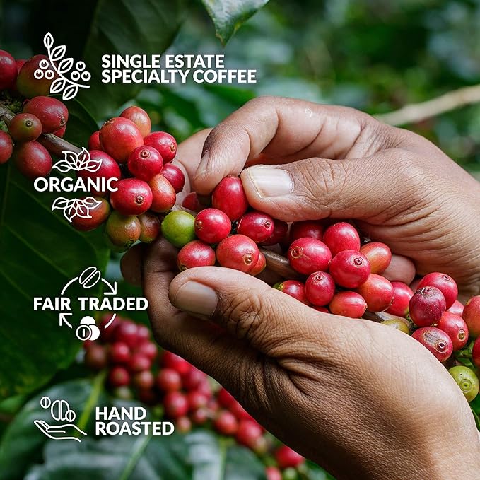 Original Gourmet Coffee Gift Set for Men & Women - 7 World's Finest Single Origin Specialty & Organic Coffees in Innovative Brewers | Sampler Box for Coffee Lover to Brew & Enjoy Anytime, Anywhere