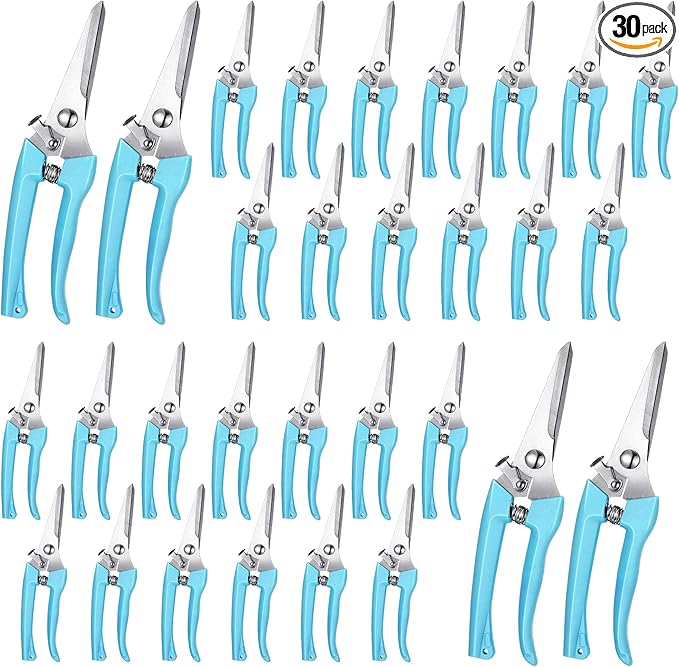 Chumia 30 Pcs Garden Flower Shears Pruning Scissors Heavy Duty Plant Scissors Trimming Garden Clippers Hand Tree Pruner for Yard Gardening Plants Hedge Flower Tree Cutting Secateurs (Blue)