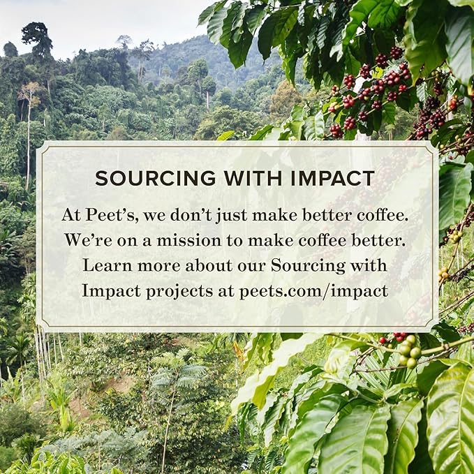 Peet's Coffee, Dark Roast Keurig K-Cup Pods - Chalet Blend 60 Count (1 Box of 60 K-Cup Pods)