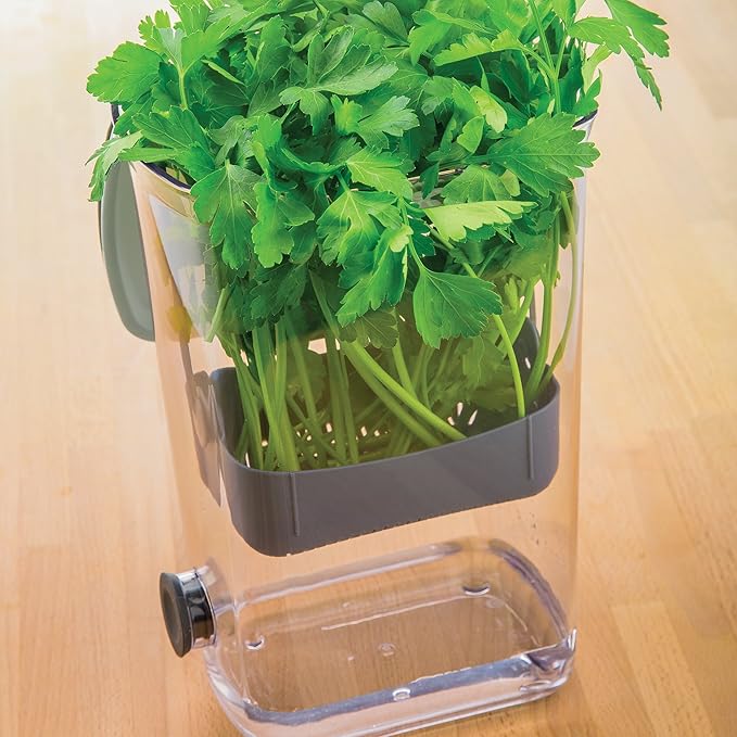 ProKeeper Herb Keeper – 1-Piece, White, with Removable Silicone Drain Plug, BPA-Free Plastic