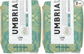 Caffe Umbria Fresh Seattle Whole Bean Roasted Coffee, Leone Blend Light Roast 12oz. bag (Pack of 2)
