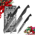 BRODARK Damascus Knife Set 3 PCS: Sharp Damascus Kitchen Knife Set, Professional Japanese Chef Knives with Ergonomic Full-Tang ABS Handle for Home, Restaurant (Dark Horse Series)