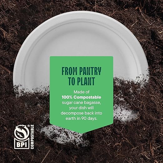 100% Compostable Paper Plates 9 Inch [500 Count] Heavy-Duty Dinner Plates - Natural White Color Unbleached Bagasse - Eco-Friendly Disposable Biodegradable Sugarcane Plates - [Bulk Case 4/125 Pack]