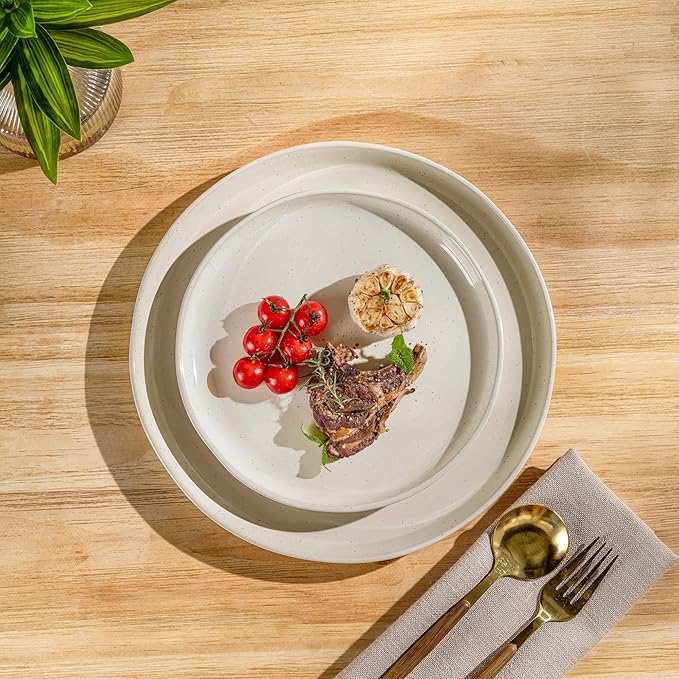 AmorArc Ceramic Dinnerware Sets, Handpainted Plates and Bowls Set with Rustic Terracotta Underside, Scratch Resistant Stoneware Dishes Set, Dishwasher & Microwave Safe